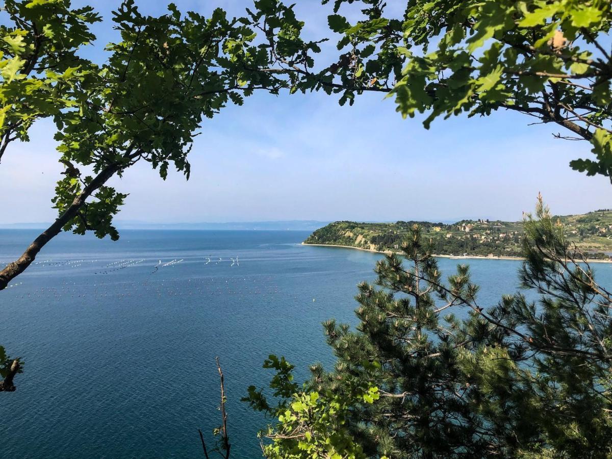 Apartment Vrenjak Portorož Kültér fotó